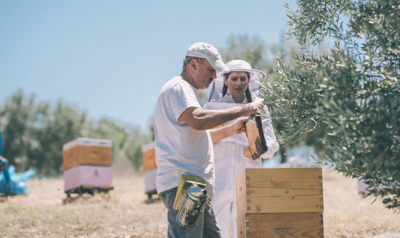 Made In Greece το άπιαστο μέλι Ermionis της Οικογένειας Μπαϊρακτάρη: Τέσσερις γενιές παράδοση, αλλά και ένα μουσείο μελιού