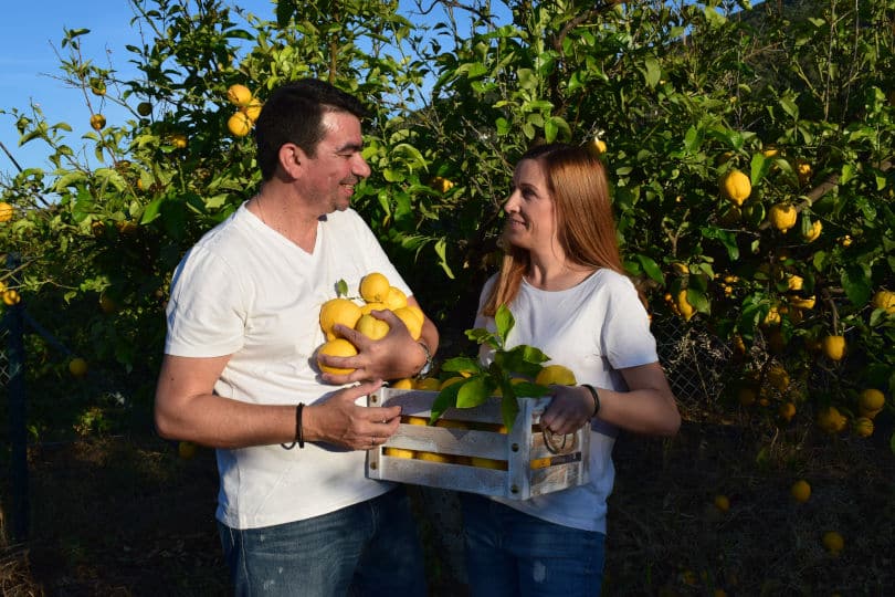 Αποκλειστικό – Made In Greece το «Λεμονοδάσος»: Η παραδεισένια γη του Γαλατά γέννησε έναν έρωτα & μία υπέροχη λεμονάδα