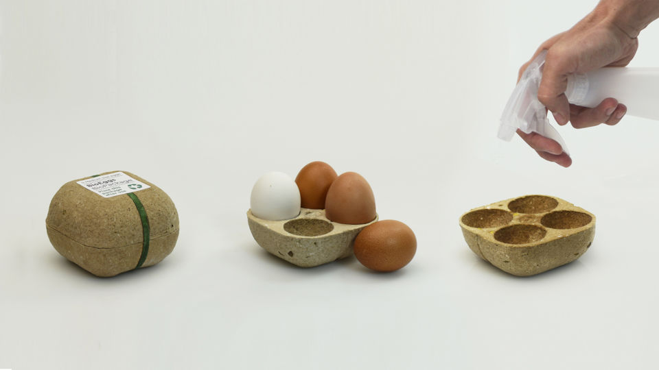 Made In Greece η βραβευμένη Biopack – Η συσκευασία αυγών του Γιώργου Μπόσνα που φυτεύεται & “ανθίζει” (φώτο)