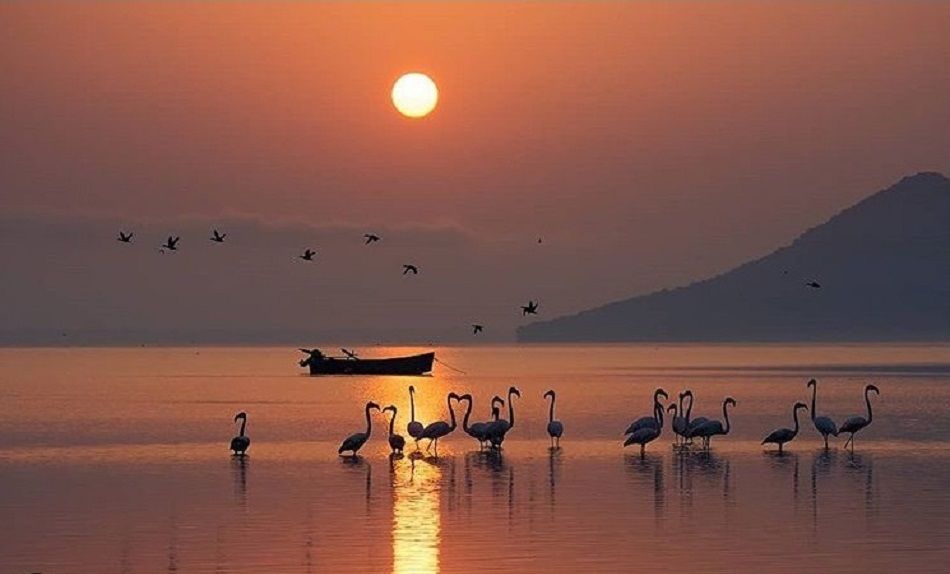 Φωτογραφία της ημέρας: Τα φλαμίνγκο υποδέχονται τον ήλιο στη λίμνη Κερκίνη – Κόβει την ανάσα το “κλικ” του Ηλία Νικολούλη