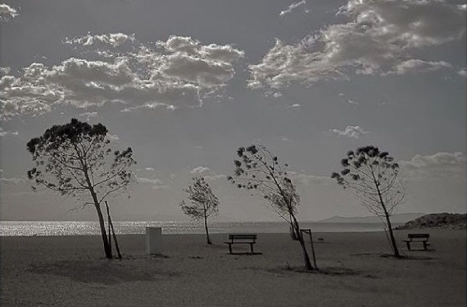 Φωτογραφία της ημέρας: Ο άνεμος παίζει με τα φύλλα στην Γλυφάδα – Μαγική η ασπρόμαυρη λήψη του Ανδρέα Αναγνωστόπουλου