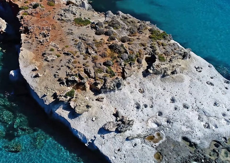 Βίντεο της ημέρας: Το μοναδικό απολιθωμένο φοινικόδασος της Ευρώπης βρίσκεται κάπου στη Λακωνία – Πόσο εντυπωσιακό!