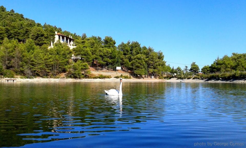 Βίντεο της Ημέρας: Η πανέμορφη λίμνη Μπελέτσι από ψηλά – “Κρυμμένη” στην Πάρνηθα δημιουργήθηκε “κατά λάθος” & μοιάζει με κιθάρα